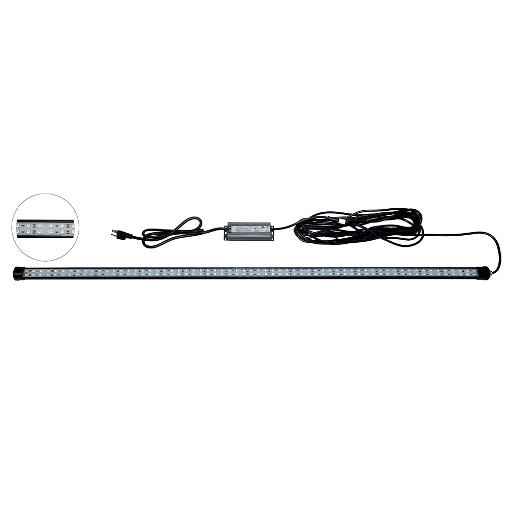 Hydro Glow 4' LED DockMaster 2000K Amber LED 120V [DM260A]